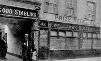 Buller Arms Buller Arms