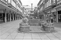 The feature in 1979
