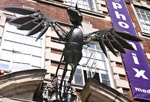 Phoenix Bird Phoenix Bird