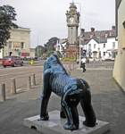 X-Ray-Ape by Dave Ellacottt and Sue Misselbrook X-Ray-Ape by Dave Ellacottt and Sue Misselbrook