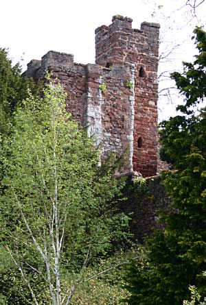 Athelstan's Tower Athelstan's Tower