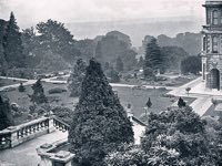 View of the garden
