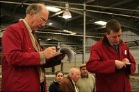 Wonford Baptist Church and children Auctioneers recording a sale in the sheep pen.