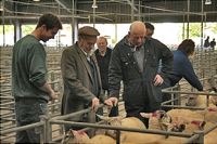 Wonford Baptist Church and children Inspecting a possible purchase.