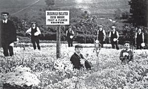 House of Fraser Exeter Nursery off Hambeer Lane
