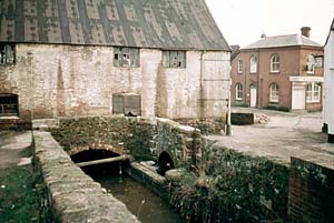 Cricklepit upstream from the leat Cricklepit upstream from the leat
