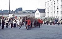 Canal Cottage was used by the foreman. Elephants from Roberts Bros., Circus