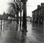 Gervaise Avenue Gervaise Avenue