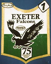 Falcons logo Falcons logo