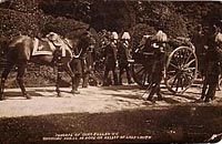 Buller's funeral and horse Buller's funeral and horse