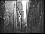 Trickhay Street Trickhay Street