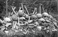 Another view of the bones Another view of the bones