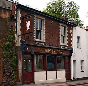 The Thirsty Camel The Thirsty Camel