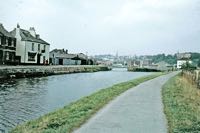 the basin