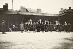 Exeter City Council shire horses Exeter City Council shire horses