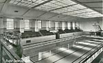 Exeter's swimming baths Exeter's swimming baths