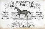 Paul Collins' business card Paul Collins' business card
