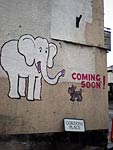 The Heavitree 'White elephant'. The Heavitree 'White elephant'.