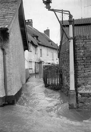 Buller Cottages, Exwick are flooded Buller Cottages, Exwick are flooded