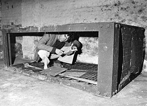 A Morrison shelter A Morrison shelter