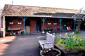 Newtown School Newtown School