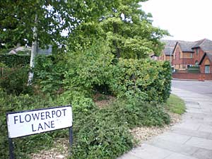 Flowerpot Lane Flowerpot Lane