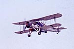 Swordfish- Exeter Swordfish - Exeter