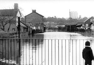 Exwick leat flooded Exwick leat flooded