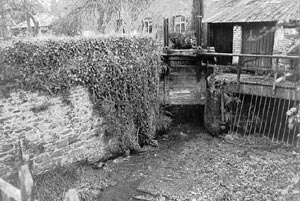 Exwick mill pool Exwick mill pool