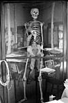 The skeleton in the cupboard The skeleton in the cupboard