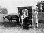 Forte ice cream cart Forte ice cream cart